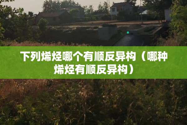 下列烯烃哪个有顺反异构（哪种烯烃有顺反异构）