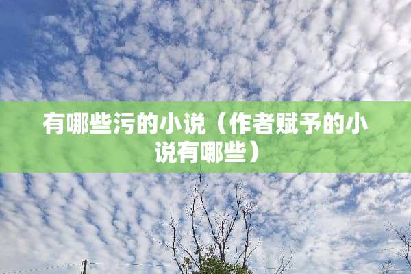 有哪些污的小说（作者赋予的小说有哪些）
