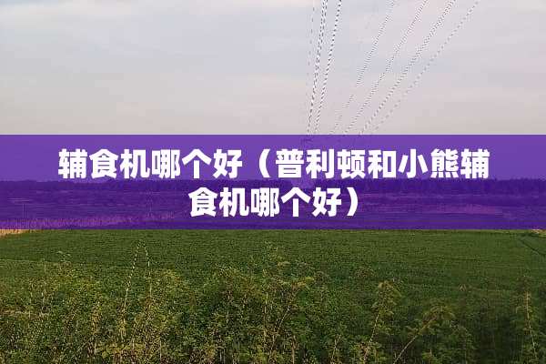 辅食机哪个好（普利顿和小熊辅食机哪个好）