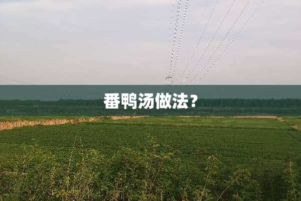 番鸭汤做法？