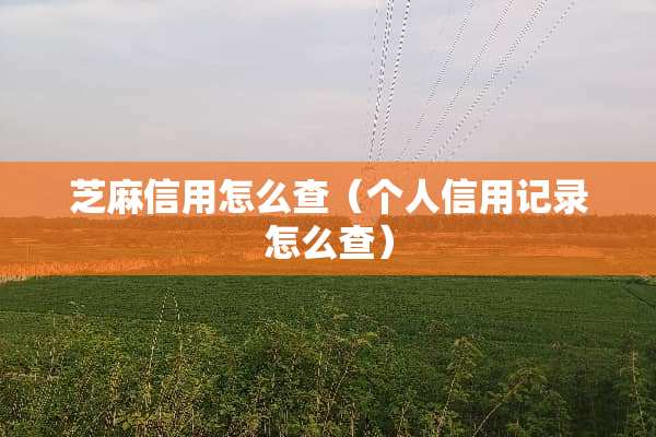芝麻信用怎么查（个人信用记录怎么查）