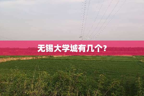 无锡大学城有几个？
