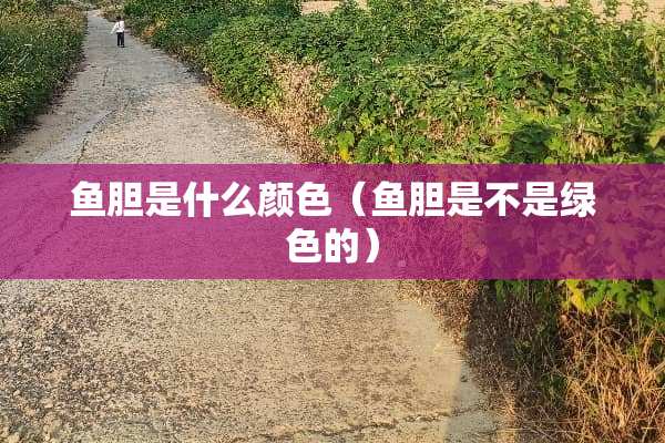 鱼胆是什么颜色（鱼胆是不是绿色的）