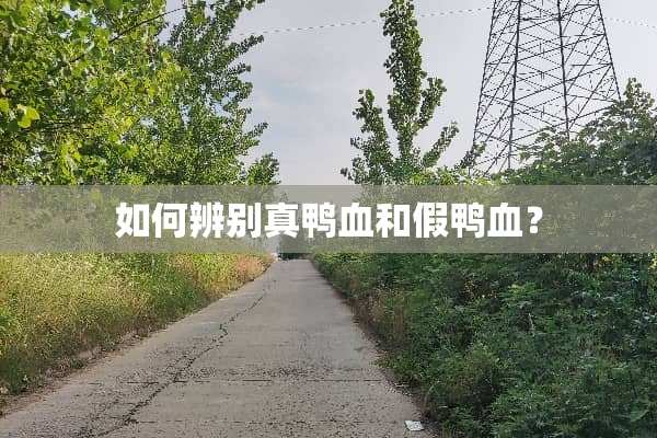 如何辨别真鸭血和假鸭血？