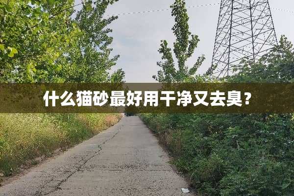 什么猫砂最好用干净又去臭？
