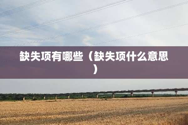 缺失项有哪些（缺失项什么意思）