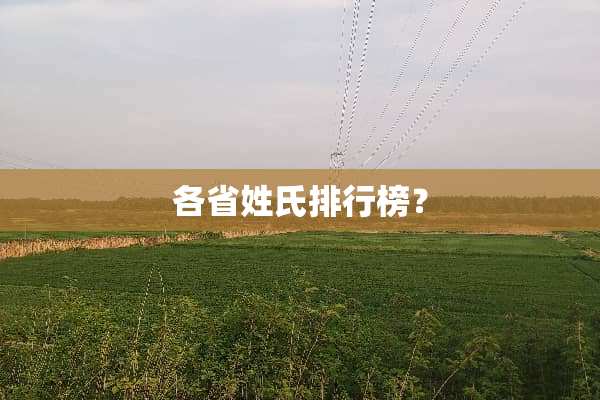 各省姓氏排行榜？