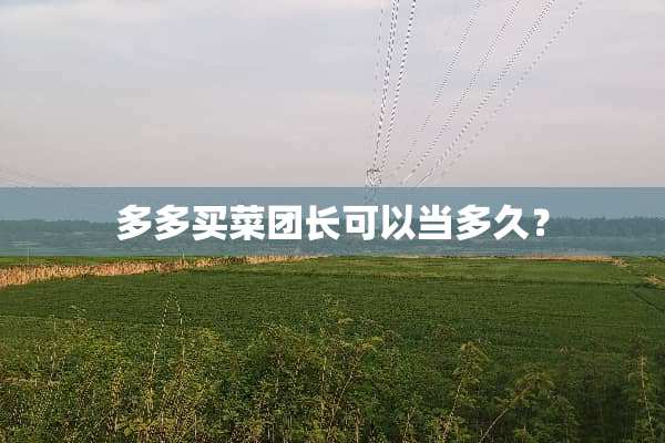 多多买菜团长可以当多久？