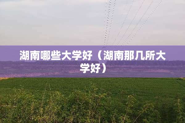 湖南哪些大学好（湖南那几所大学好）