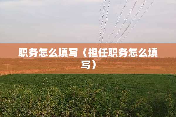 职务怎么填写（担任职务怎么填写）