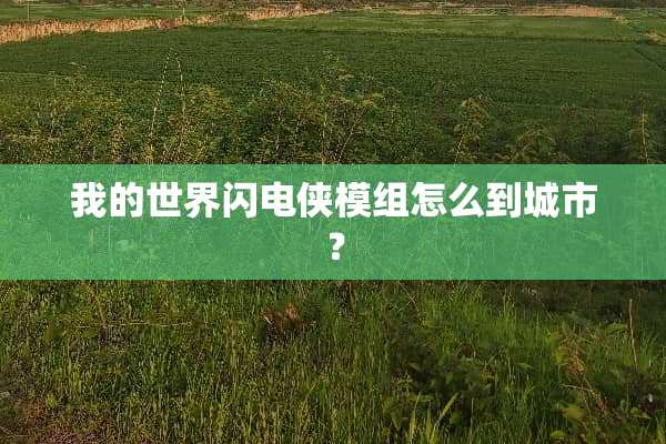 我的世界闪电侠模组怎么到城市？