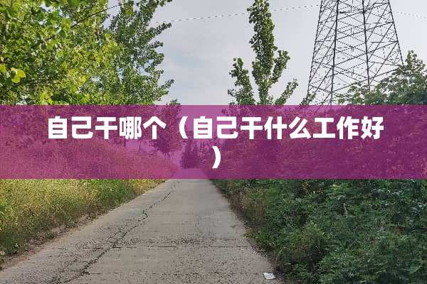 自己干哪个（自己干什么工作好）