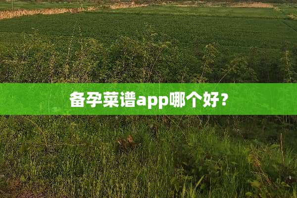 备孕菜谱app哪个好？