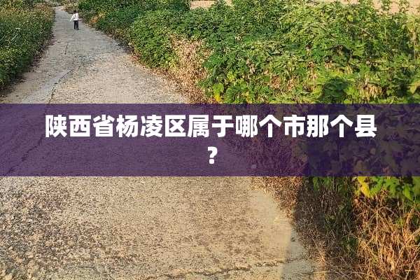 陕西省杨凌区属于哪个市那个县？