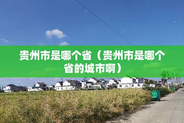 贵州市是哪个省（贵州市是哪个省的城市啊）