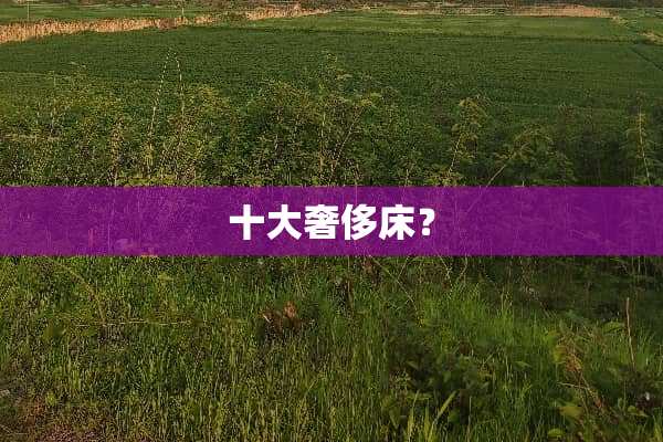 十大奢侈床？