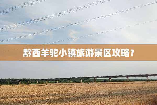 黔西羊驼小镇旅游景区攻略？