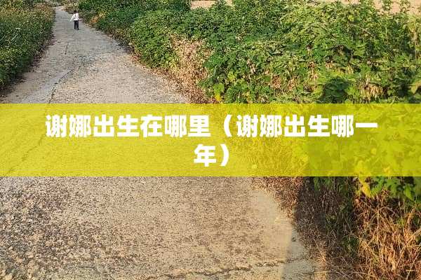 谢娜出生在哪里（谢娜出生哪一年）