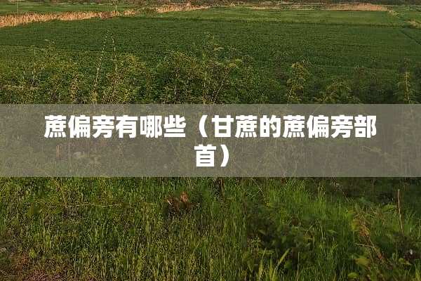 蔗偏旁有哪些（甘蔗的蔗偏旁部首）