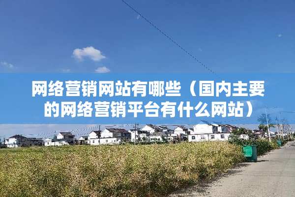网络营销网站有哪些（国内主要的网络营销平台有什么网站）