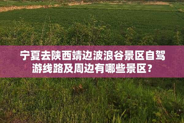 宁夏去陕西靖边波浪谷景区自驾游线路及周边有哪些景区？