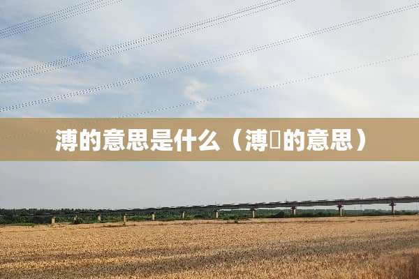溥的意思是什么（溥洐的意思）