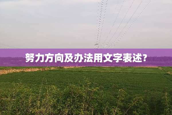 努力方向及办法用文字表述？