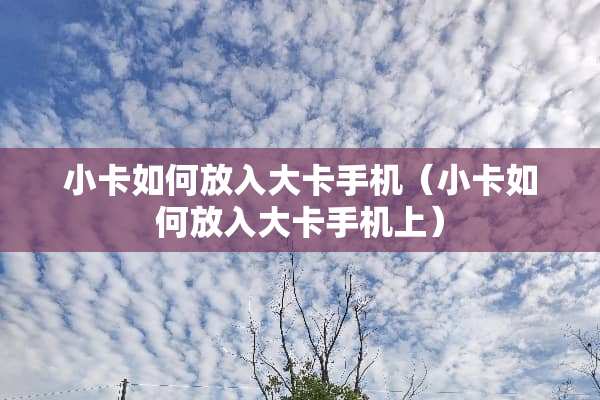 小卡如何放入大卡手机（小卡如何放入大卡手机上）