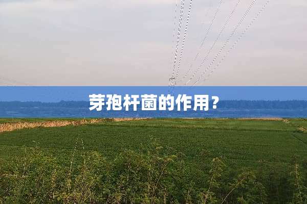 芽孢杆菌的作用？