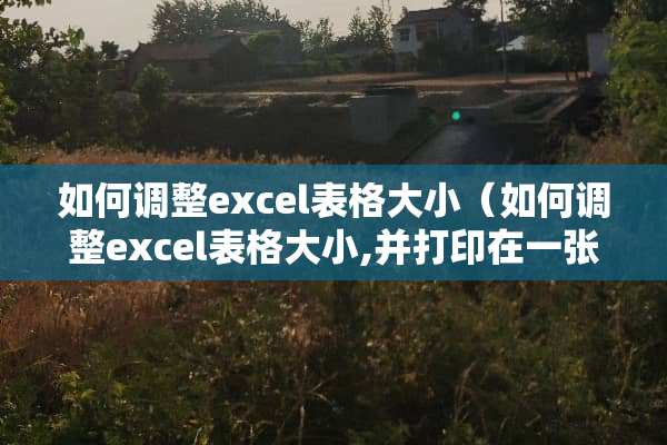 如何调整excel表格大小（如何调整excel表格大小,并打印在一张纸中）