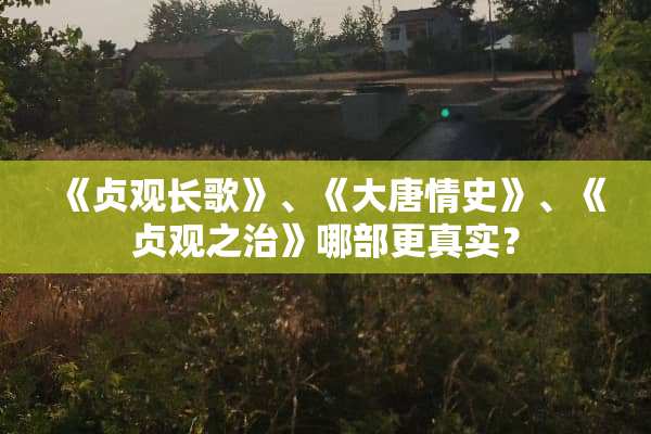 《贞观长歌》、《大唐情史》、《贞观之治》哪部更真实？