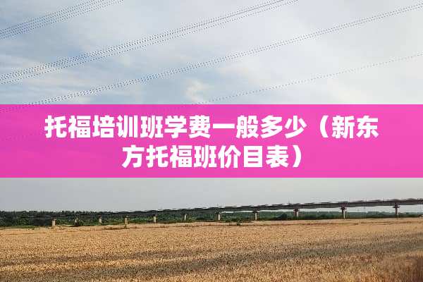 托福培训班学费一般多少（新东方托福班价目表）