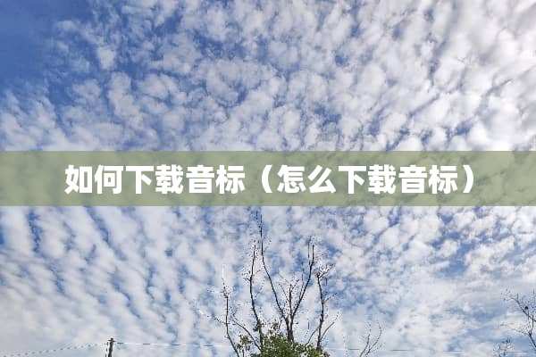 如何下载音标（怎么下载音标）