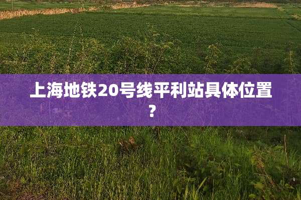上海地铁20号线平利站具**置？