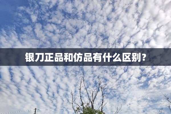 银刀正品和仿品有什么区别？