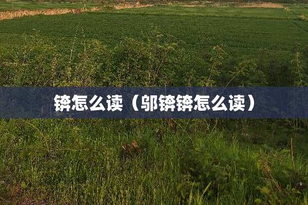 锛怎么读（邬锛锛怎么读）