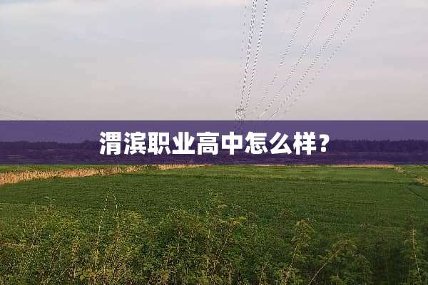 渭滨职业高中怎么样？