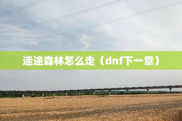 迷途森林怎么走（dnf下一章）