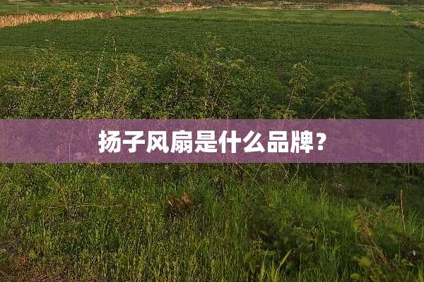 扬子风扇是什么品牌？