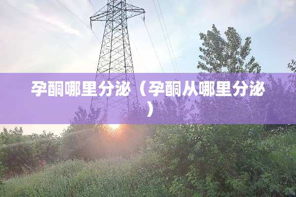孕酮哪里分泌（孕酮从哪里分泌）