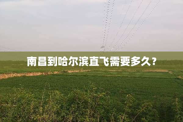 南昌到哈尔滨直飞需要多久？