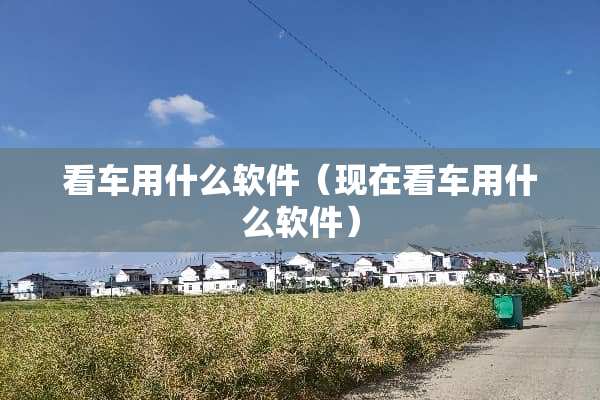 看车用什么软件（现在看车用什么软件）
