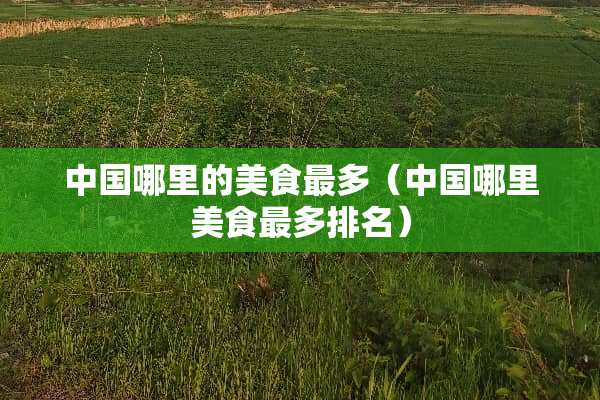 中国哪里的美食最多（中国哪里美食最多排名）