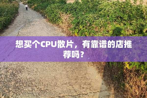 想买个CPU散片，有靠谱的店推荐吗？