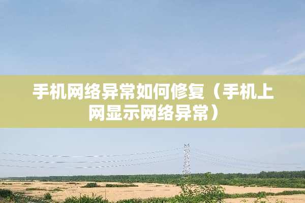 手机网络异常如何修复（手机上网显示网络异常）