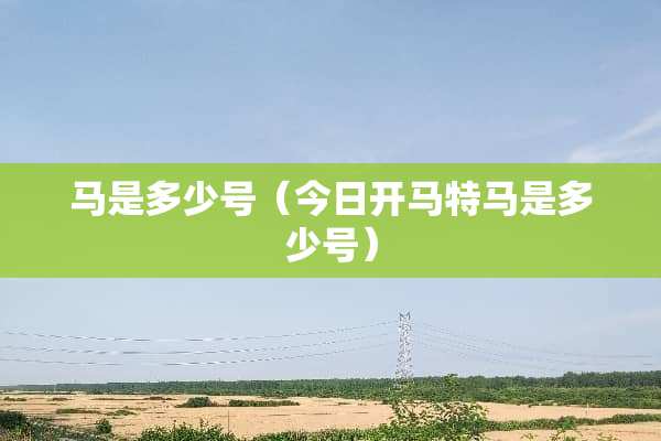 马是多少号（今日开马**是多少号）