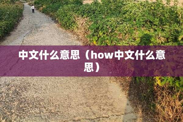 中文什么意思（how中文什么意思）