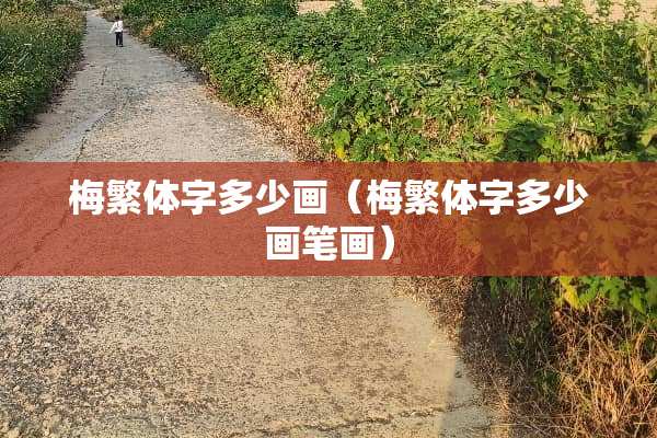 梅繁体字多少画（梅繁体字多少画笔画）