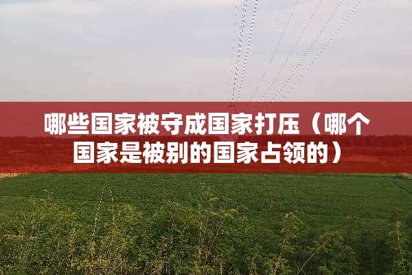 哪些国家被守成国家**（哪个国家是被别的国家占领的）
