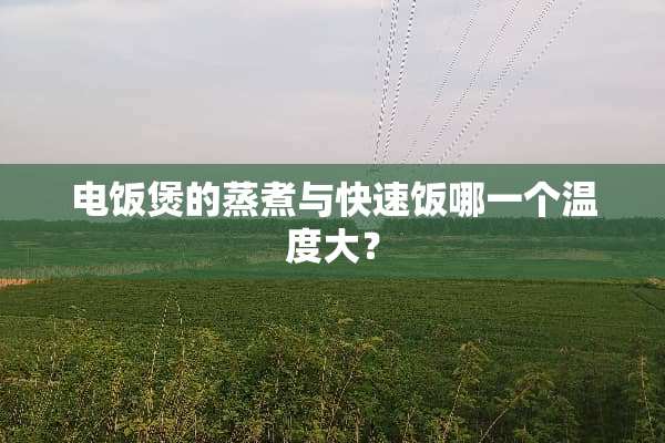 电饭煲的蒸煮与快速饭哪一个温度大？